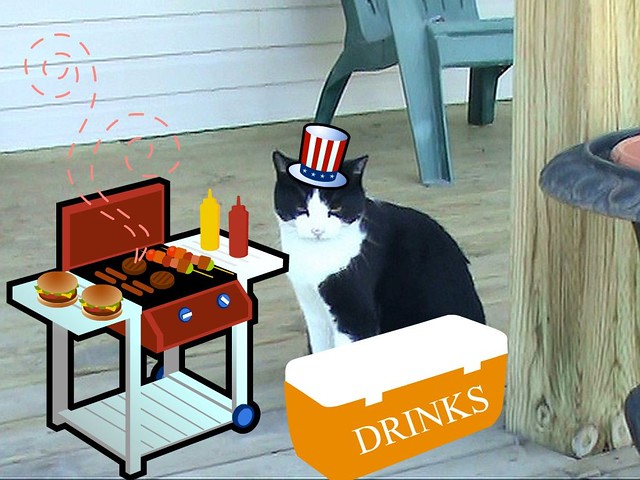 tuxie getting ready for cook out