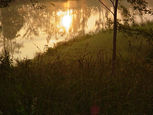 lake moss sunsets