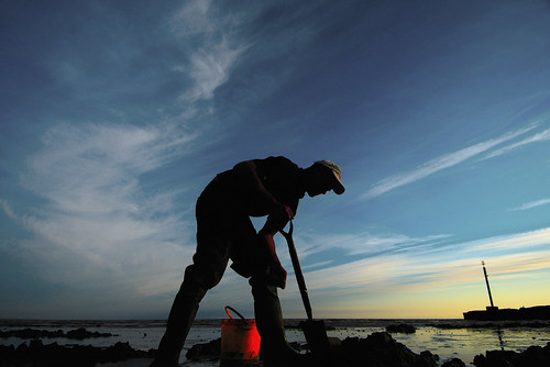 sunset sea beach silhouette sussex fisherman bravo brighton seafront 1224mm shoreham baitdigger nikond200