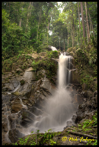 trees nature water forest waterfall rainforest rocks stream picnic malaysia canonef24105mmf4lisusm negerisembilan canoneos1dmarkiii greeneries jeramtoi ©nikfahmi