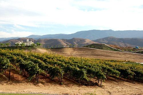 california vineyard nikon wine winery valley grapes temecula winecountry d80 leonesse