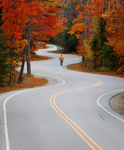 road county door autumn fall colors wisconsin landscape woods walk explore winding crooked mile d60 goldstaraward
