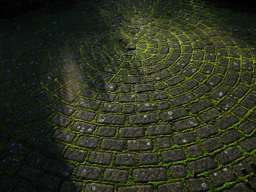 uk green grey shadows path circles harlow essex