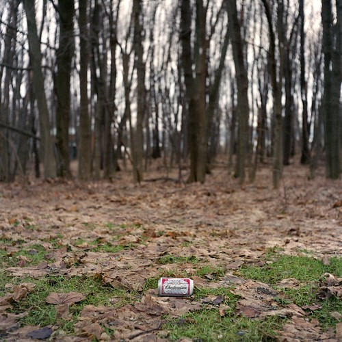 ny newyork tree tlr beer grass leaves rollei forest landscape bokeh decay upstate can litter driftwood pollution fallen detritus roadside vb budweiser gossen wny expiredfilm rolleicord bemuspoint lunapro extinctfilm fujinhg400 thephotographicdictionary