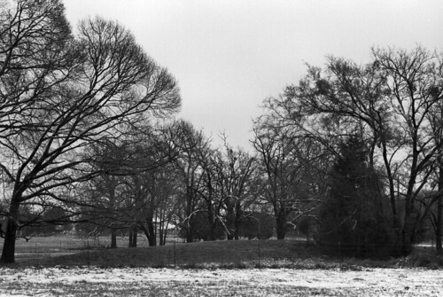 trees winter bw snow film rural 35mm canon landscape geotagged photography photo texas wickdartsdesign ericwaisman