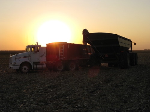 tractor fall truck corn grain harvest combine cart
