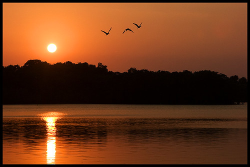 sunset lake 20d water birds canon explore naturesfinest lakehouston getrdun kingwoodtexas goldstaraward top20texas bestoftexas atascocitatexas qualitypixels caseymorris