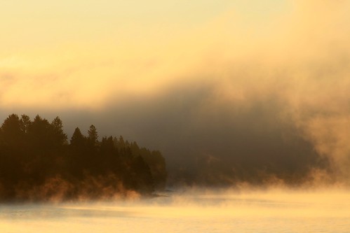 light mist lake fog sunrise newhampshire lakefrancis pittsburgnh fotocompetitionbronze