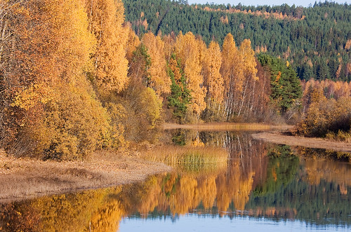 autumn fall water colors creek canon nore ljusdal eos40d