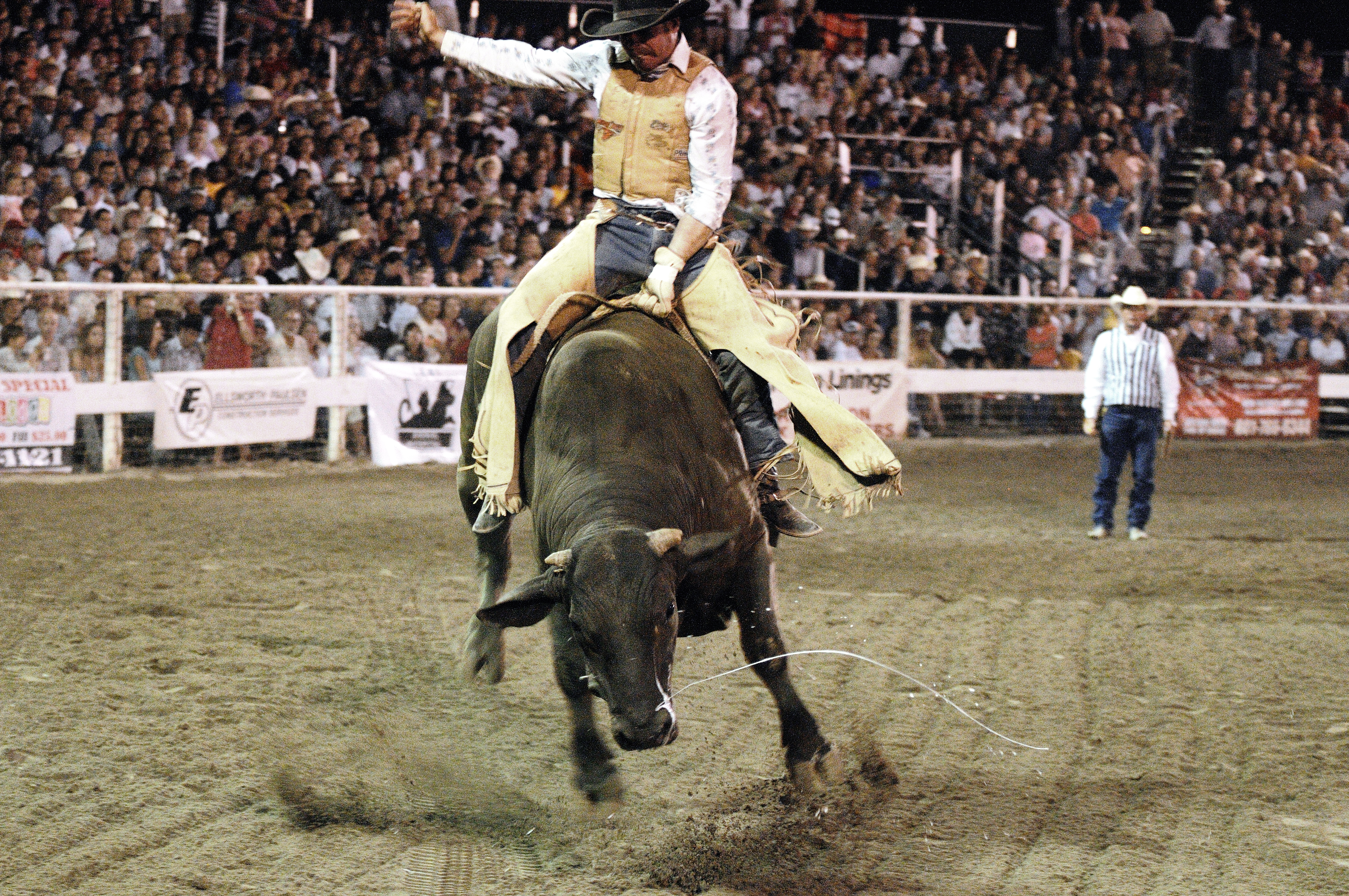 Bull Riding, things to do in Ft. Myers Florida