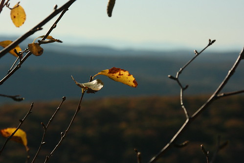 autumn fall leaves view hiking scenic berkshires vista monumentmountain