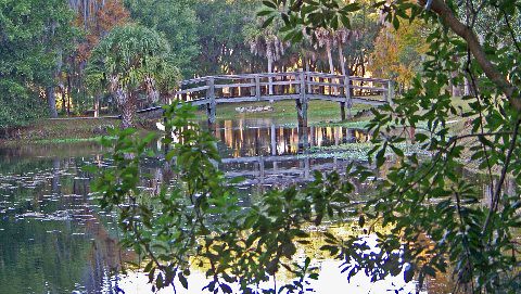 bridge reflection beauty pond view florida parks palmtrees palmharbor laketarpon liveoaktree johnchestnutpk