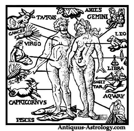 zodiac body parts