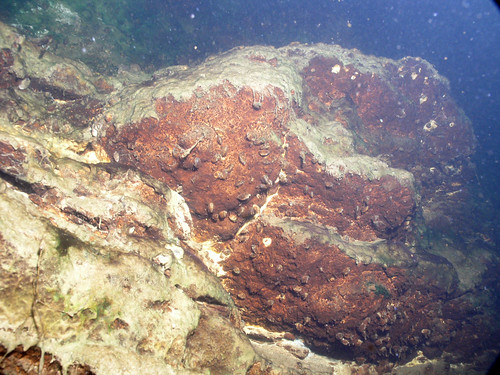 usa geotagged photography underwater unitedstates indiana scuba diving muncie quarry freshwater geo:lat=4019402000 geo:lon=8536636600 phillipsquarry