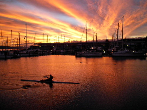 light sea sky cloud reflection sunrise harbour wellington rower