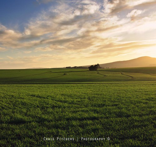 africa sunset green clouds photoshop southafrica nikon adobe fields nik durbanville contours westerncape d90 nikon35mm cs5 niksoftware nikond90 nikon35mmf18 flickrunitedaward capetown35mm