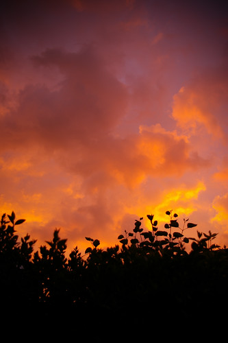 sunset red orange clouds scotland 24mm westlothian