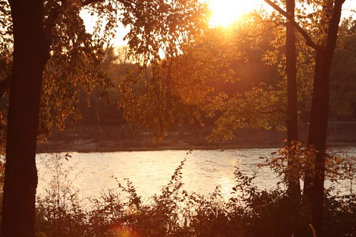 park sunset tree water river