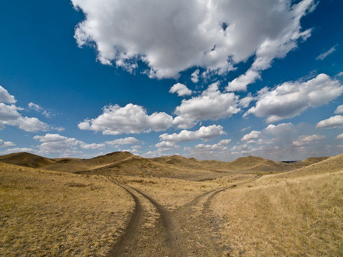 life road autumn summer two sky cloud mountain nature grass yellow landscape outdoors bright russia earth path top hill peak dry fork selection dirt trail covered cumulus tall choice concept wilderness footpath range alternative gravel option decisions ural lifestyles unmetalled furcation