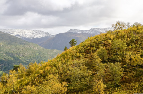 autumn mountain norway landscape decent cameracanon350d