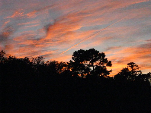 trees sunset clouds columbia jenianddean