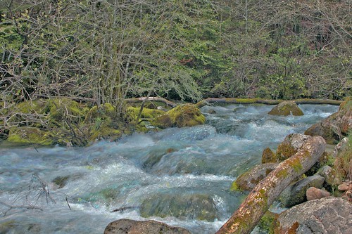 blue france green nature water photoshop river spring stream nikond70 jura impressions hdr movingwater tonemapped 3exp allondon vin60