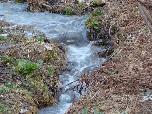 canada nature eau quebec sony cybershot estrie asbestos h9 ruisseau dsch9