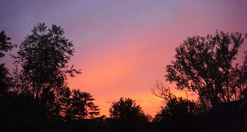 sunset ohio color tree granville