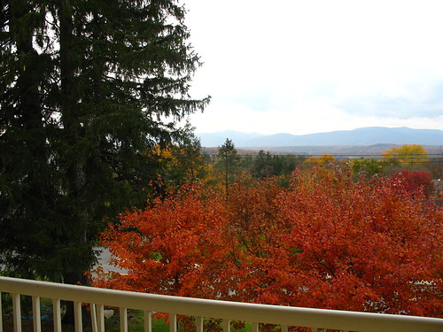 autumn fallfoliage views cedargrove catskillmountains thomascole