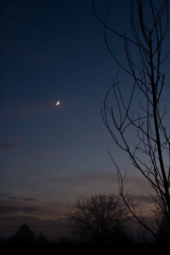 sky mars moon tree clouds venus planet
