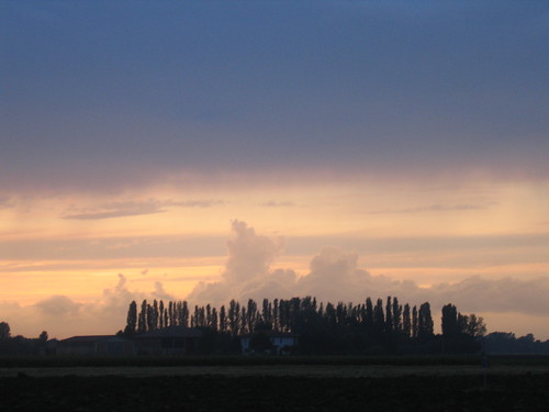 trees sunset alberi clouds italia tramonto nuvole bologna nuages emiliaromagna castenaso
