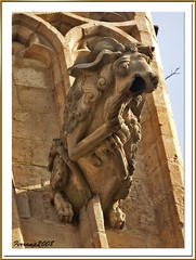 Barcelona, Barri de la Ribera - La catedral del mar, gàrgola 01