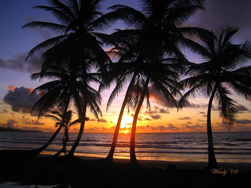 ocean sea vacation sky sun water clouds sunrise palms tropical caribbean soe tobago coconuttrees petittrou windydear canonpowershotsd870is petittroutobago