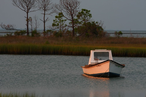trees sea usa sun sunlight art america photography boat photo clayton images northamerica marsh harris oyster tied pinetrees inspiring marshes smallboat moored orangeglow oysterboat harrisclayton
