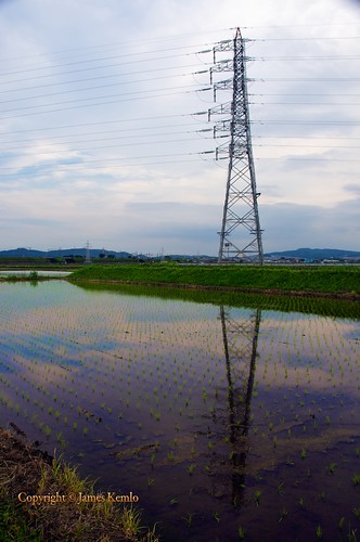 sunset water japan rice powerlines fields farms crops agriculture kanagawa irrigation ©jameskemlo ©junpeihayakawa
