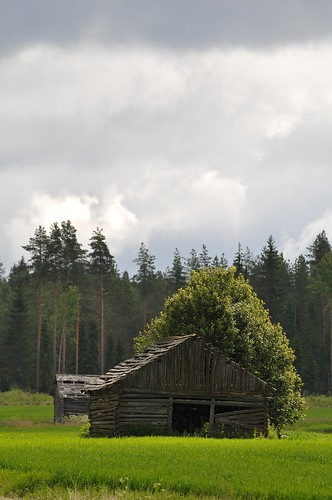 nature nikon with 300 lapua on hirvijoki