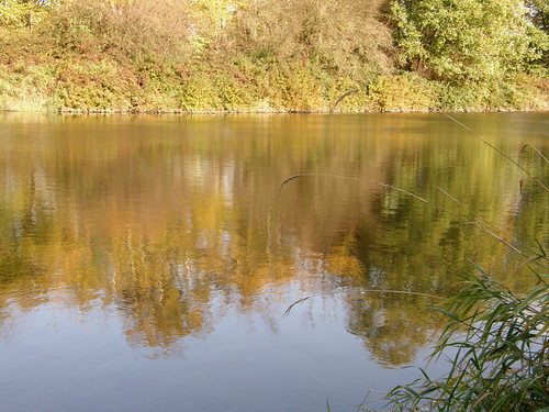 reflections river bc nicomeklriver wanderinweeta