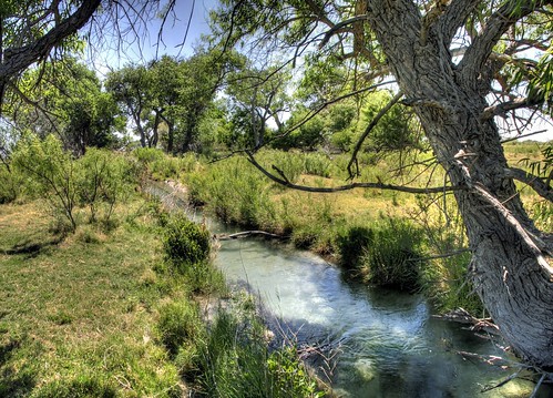 autostitch fish never newmexico water birds creek spring stream desert insects oasis blackriver ive species someplace nm mussel joeldeluxe amphibians carlsbad habitat pure seen clams malaga hdr 202 reptiles freshwater riparian biodiversity mollusk crustaceans bluespring neverseen aplaceiveneverbeen imperiled eddycounty texashornshell nmgameandfish blackrivervillage outstandingnationalresourcewater newmexicoshiddentreasure aplaceiveneverseen someplaceyouveneverseen aplaceyouveneverbeen