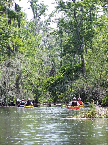 friends june fun outdoors kayak alligator southcarolina saturday adventure kayaking swamp marsh combaheeriver photopaddling lowcountryunfiltered cuckoldscreek