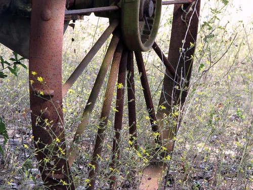flowers wheel yellow farm rusty equipment rusted