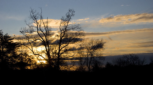 trees silhouette clouds sunrise landscape virginia 2008 ruckersville