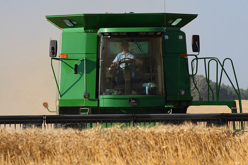 minnesota farm wheat grain harvest combine kiddies canon30d normancounty garymn uploadedviaatinytinytrickleofawirelessblackberryconnection