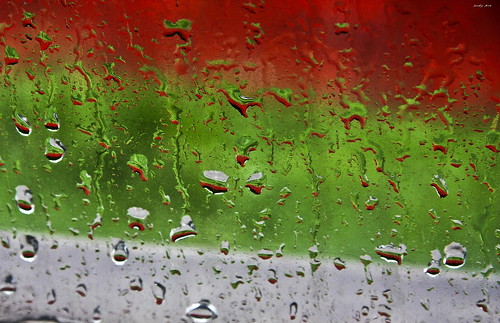 italy rain italia giorgia jody 2008 acqua cuneo pioggia memoria vetro gocce canzone abigfave colorphotoaward jodyart colourartaward jodysticca giorgiagoccedimemoria