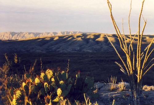 landscape mexico texas desert border paisaje unesco biospherereserve bigbendnationalpark bigbend riogrande mab 5photosaday chihuahuadesert riograndevillage mabbiospherereserve unescomabbiospherereserve bigbendbiospherereserve