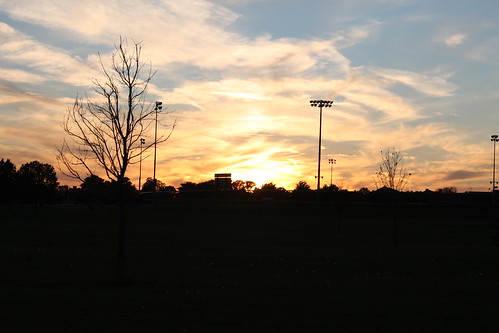 sunset tree lightandshadow parklandcollege
