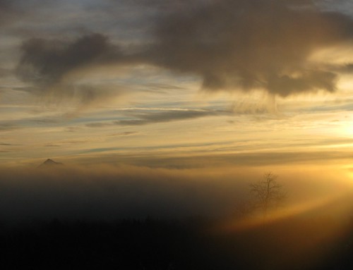 mountain fog oregon sunrise mthood troutdale