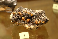 Specimen in the mineral museum at Wolframines - Photo of Chirat-l'Église