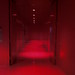 The Red Hallway