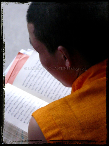 portrait people orange india man temple book buddhist religion silk monk buddhism silence varanasi tibetan spiritual shanti sarnath benaras uttarpradesh भारत indiasong