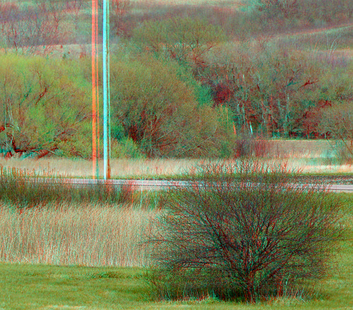 tree stereoscopic 3d scenic anaglyph anaglyphs redcyan 3dimages 3dphoto 3dphotos 3dpictures stereopicture